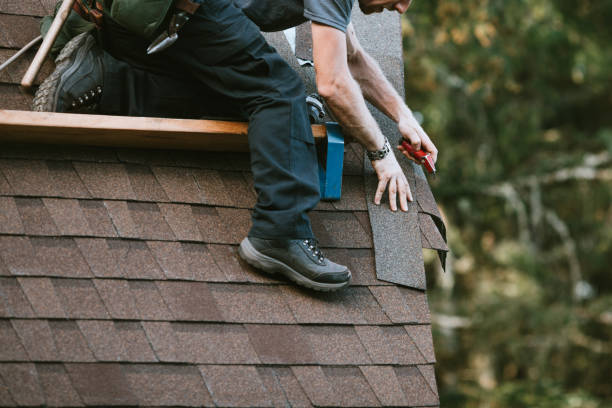 Roof Gutter Cleaning in Philippi, WV